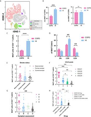 Mucosal Associated Invariant T Cells Were Activated and Polarized Toward Th17 in Chronic Obstructive Pulmonary Disease